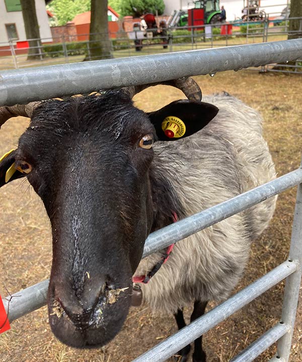 Krasse Dorfkids bei Landpartie